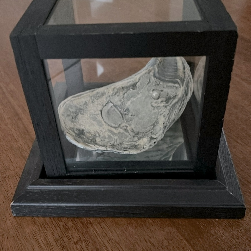 Oyster Beach Decor for Home, Handmade